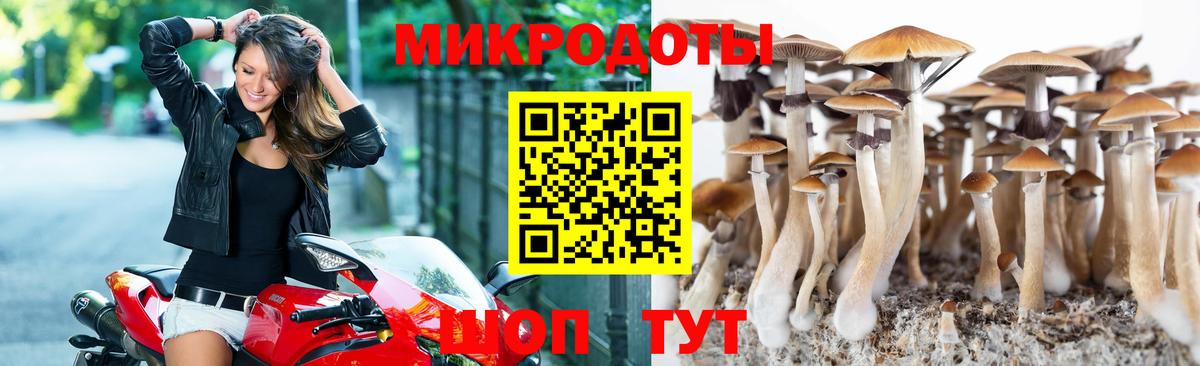 закладки  Галлюциногенные грибы ЛСД  Вход с VPN  Галлюциногенные грибы ЛСД  Таганрог 